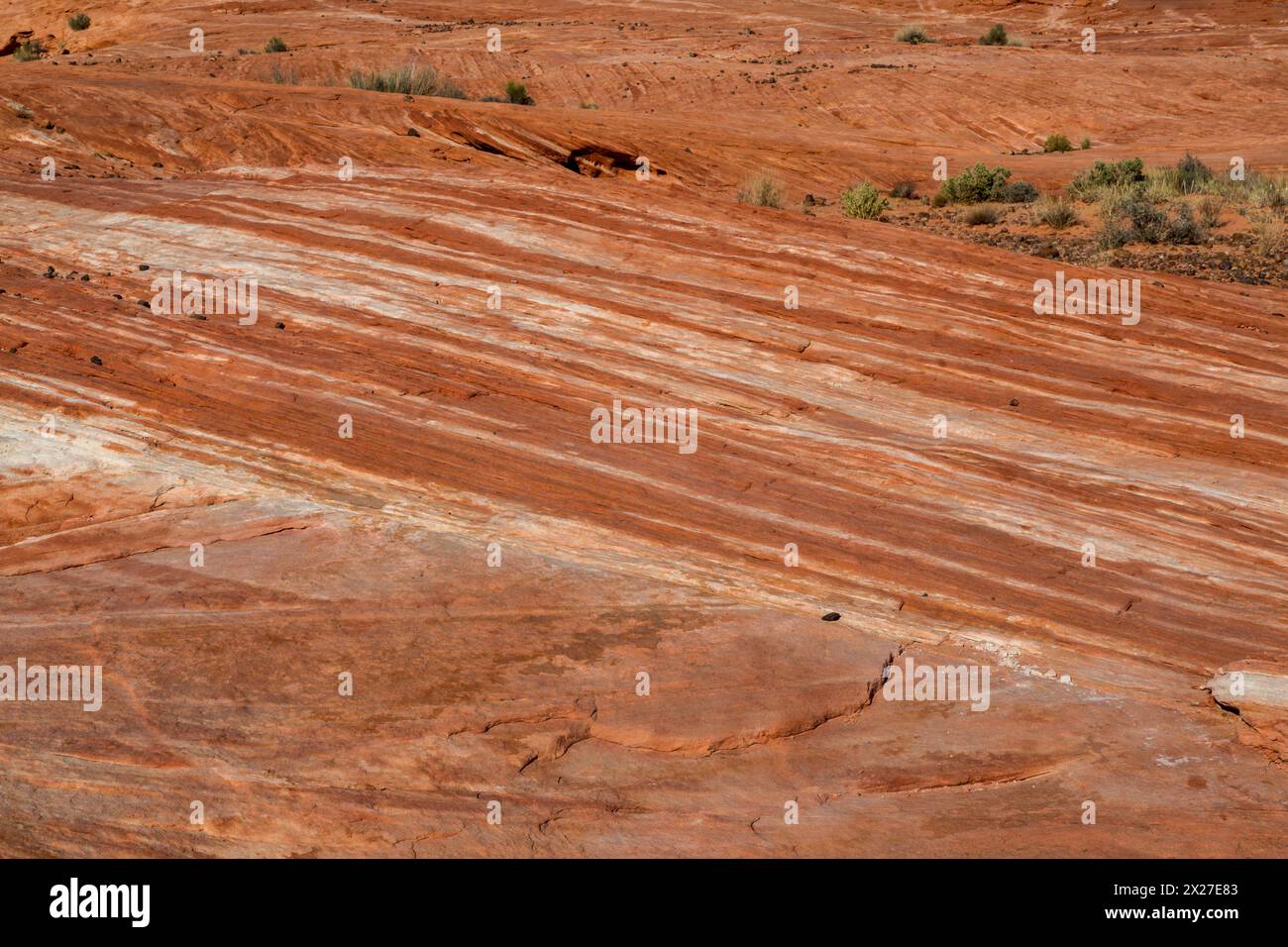La Valle del Fuoco, Nevada. L'onda di fuoco--striature di pietra arenaria rossa. Foto Stock