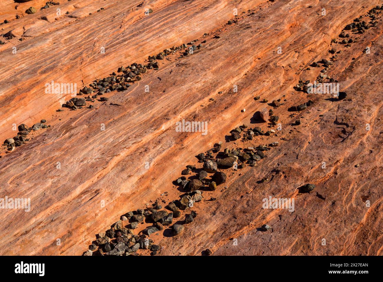 La Valle del Fuoco, Nevada. L'onda di fuoco--striature di pietra arenaria rossa. Foto Stock