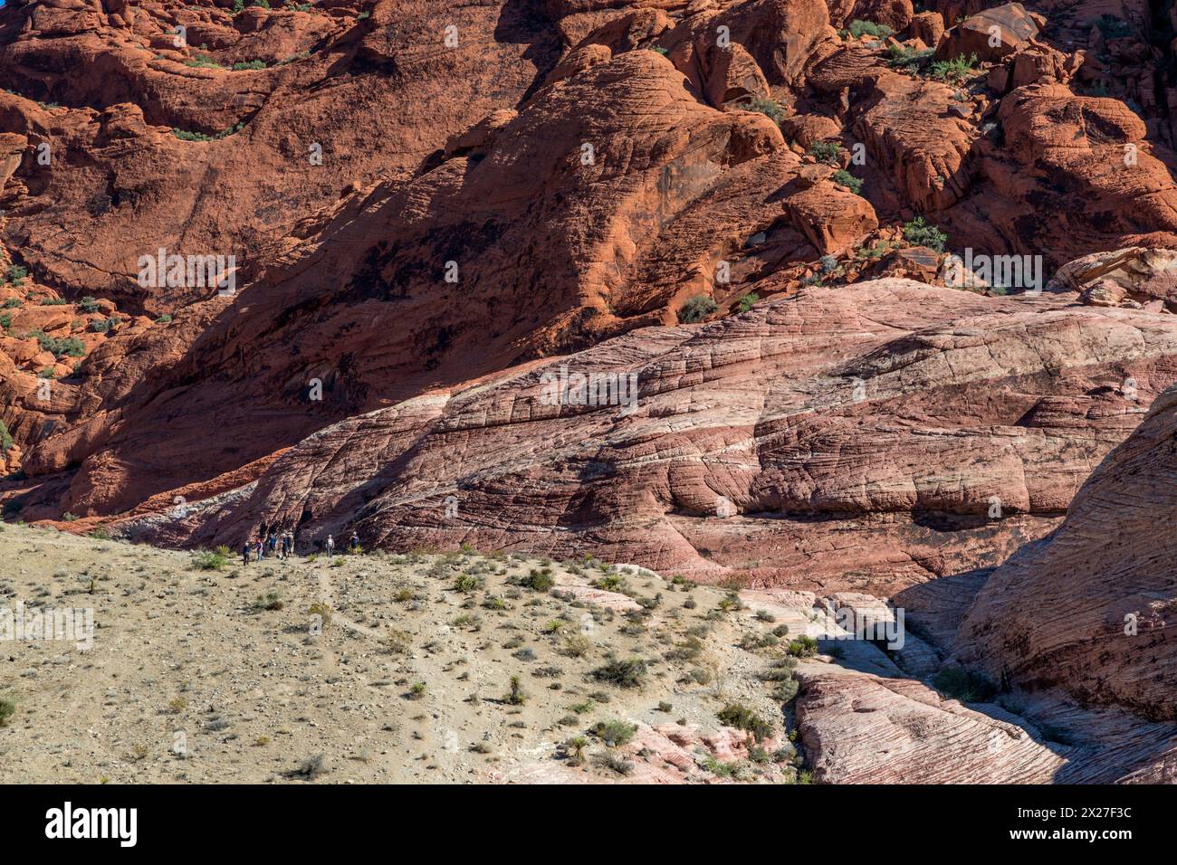 Il Red Rock Canyon, Nevada. Il calicò colline di arenaria azteca mostra Cross-biancheria da antiche dune di sabbia. Foto Stock