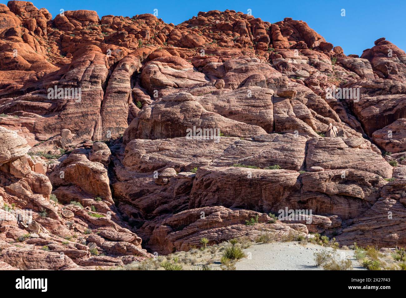 Il Red Rock Canyon, Nevada. Il calicò colline di arenaria azteca mostra Cross-biancheria da antiche dune di sabbia. Foto Stock