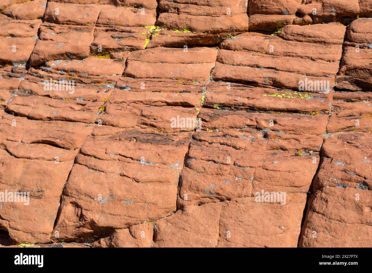 Il Red Rock Canyon, Nevada. Pietra arenaria rossa mostra il cross-biancheria da antiche dune di sabbia. Foto Stock