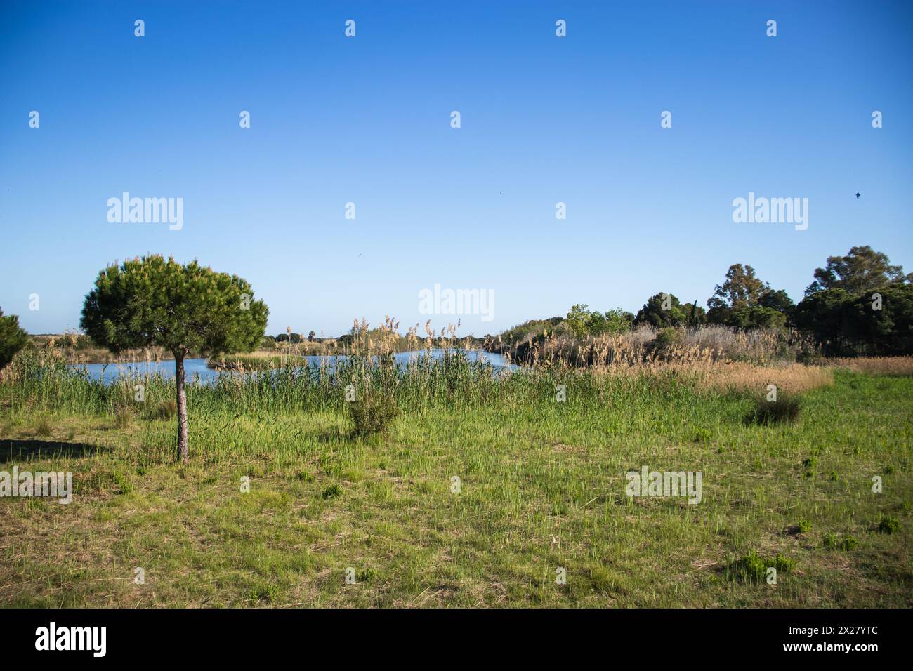 Happy Earth Day, guarire il pianeta Terra, Delta del Llobregat a Barcellona, Spagna, sostenibilità, conservazione dell'ambiente, protezione della biodiversità Foto Stock