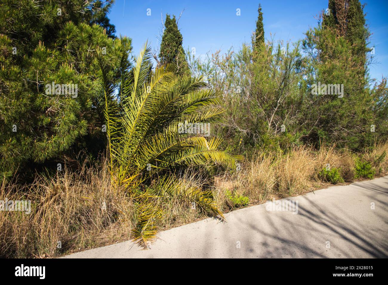 Happy Earth Day, guarire il pianeta Terra, Delta del Llobregat a Barcellona, Spagna, sostenibilità, conservazione dell'ambiente, protezione della biodiversità Foto Stock