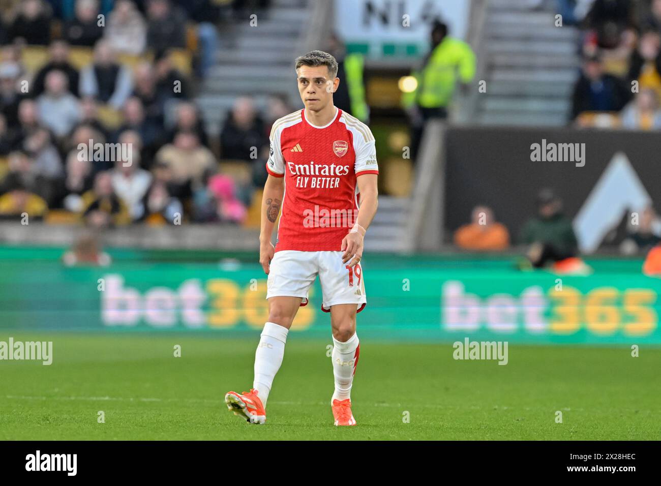 Wolverhampton, Regno Unito. 20 aprile 2024. Leandro Trossard dell'Arsenal, durante la partita di Premier League Wolverhampton Wanderers vs Arsenal a Molineux, Wolverhampton, Regno Unito, 20 aprile 2024 (foto di Cody Froggatt/News Images) a Wolverhampton, Regno Unito, il 20/4/2024. (Foto di Cody Froggatt/News Images/Sipa USA) credito: SIPA USA/Alamy Live News Foto Stock