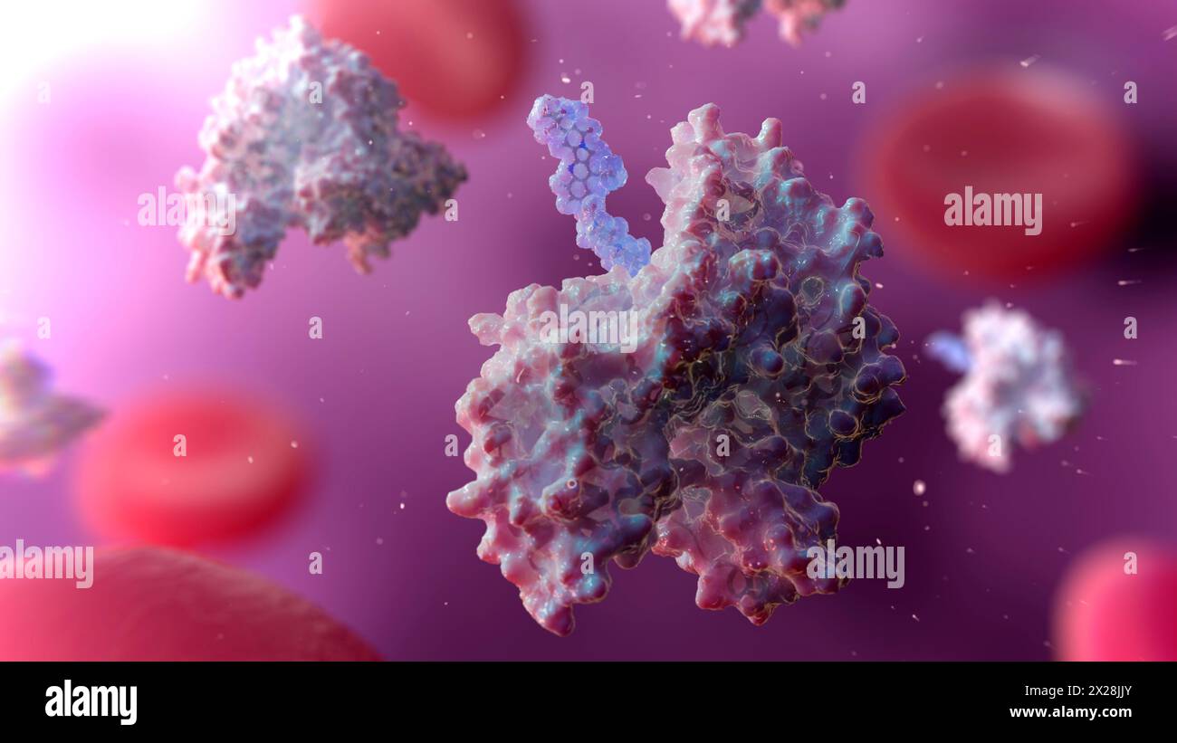 Terapie farmacologiche per l'albumina, illustrazione Foto Stock