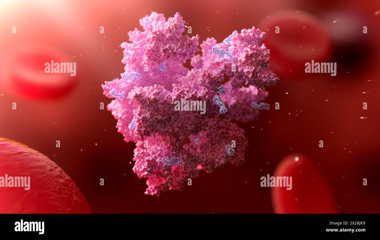 Somministrazione di farmaco con nanoparticelle di albumina, illustrazione Foto Stock