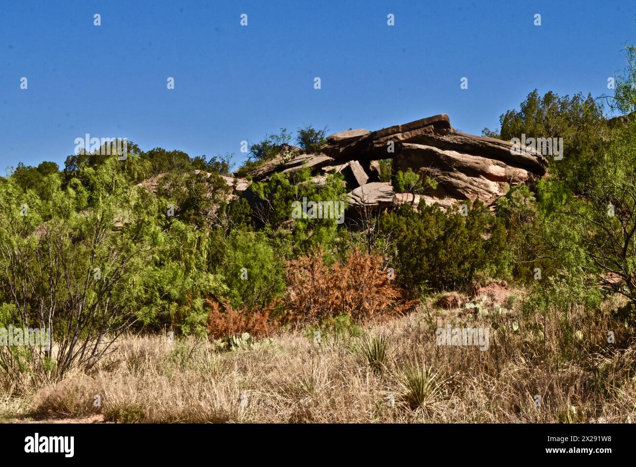 Natural Rock pile, tour Road, palo duro State Park vicino ad Amarillo, Texas Foto Stock