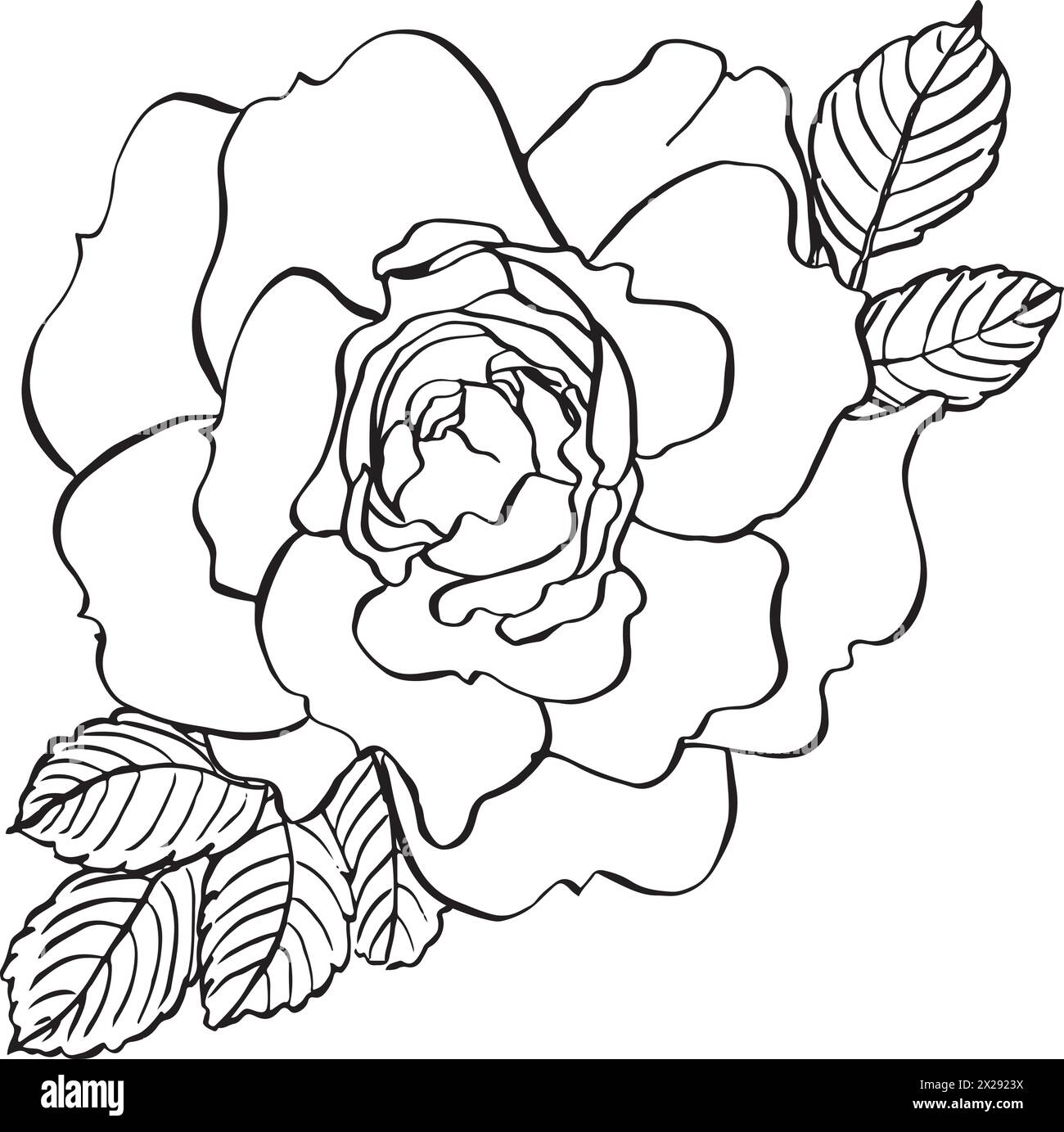 Fiore di rosa selvatica con foglie. Illustrazione floreale vettoriale disegnata a mano di un'anca rosa in fiore in stile line art. Schizzo in bianco e nero su isolat Illustrazione Vettoriale