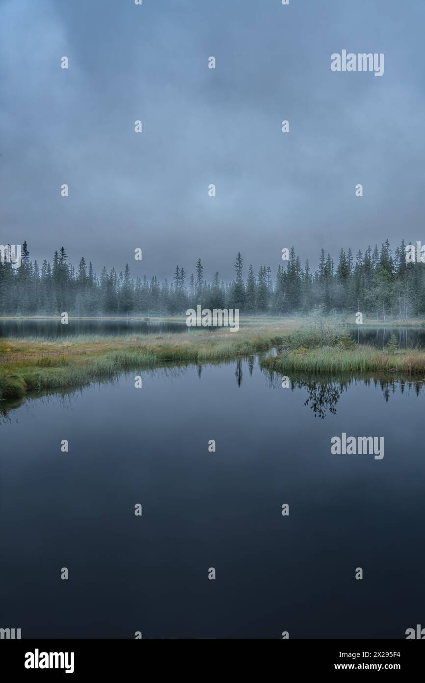 Il percorso escursionistico attraversa il tranquillo laghetto norvegese circondato dalla foresta nella nebbia di una fredda mattinata nella natura selvaggia nordica Foto Stock