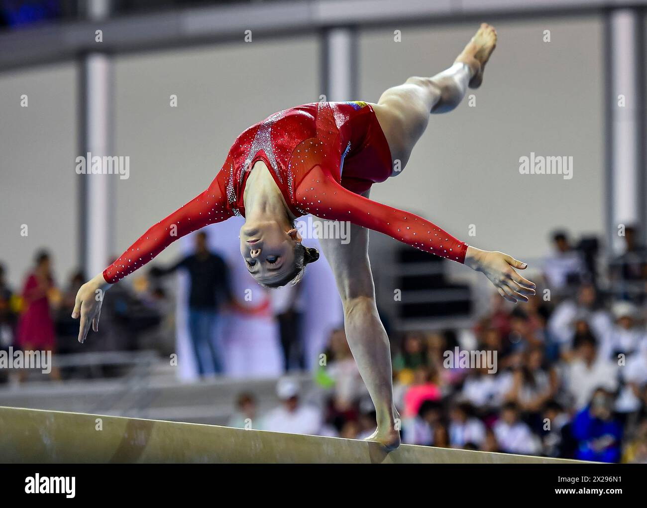 Doha, Qatar. 20 aprile 2024. Anna Lashchevska, Ucraina, gareggia durante la finale di Balance Beam femminile alla 16a FIG Artistic Gymnastics Apparatus World Cup a Doha, Qatar, 20 aprile 2024. Crediti: Nikku/Xinhua/Alamy Live News Foto Stock