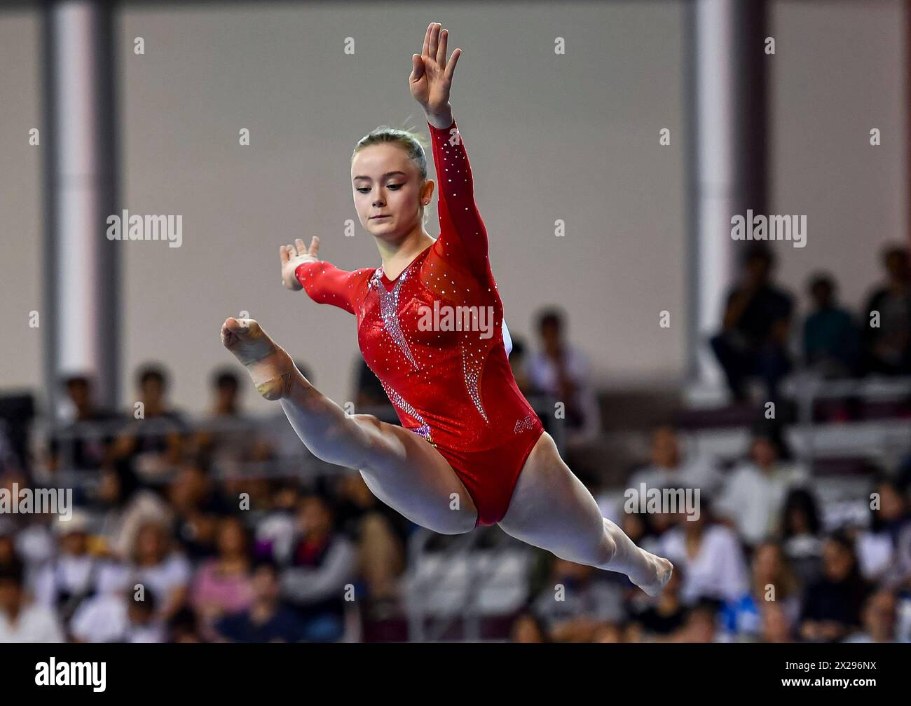 Doha, Qatar. 20 aprile 2024. Anna Lashchevska, Ucraina, gareggia durante la finale di Balance Beam femminile alla 16a FIG Artistic Gymnastics Apparatus World Cup a Doha, Qatar, 20 aprile 2024. Crediti: Nikku/Xinhua/Alamy Live News Foto Stock