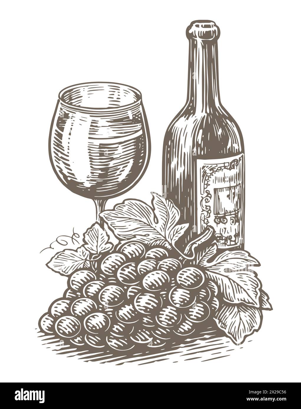Bottiglia di vino e bicchiere, grappoli di uva. Winery, vignetta del vigneto. Illustrazione vettoriale vintage Illustrazione Vettoriale