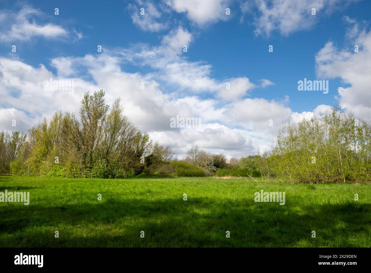 Millgate Fields vicino a Didsbury, South Manchester. Parte del fiume Mersey Floodplain. Foto Stock