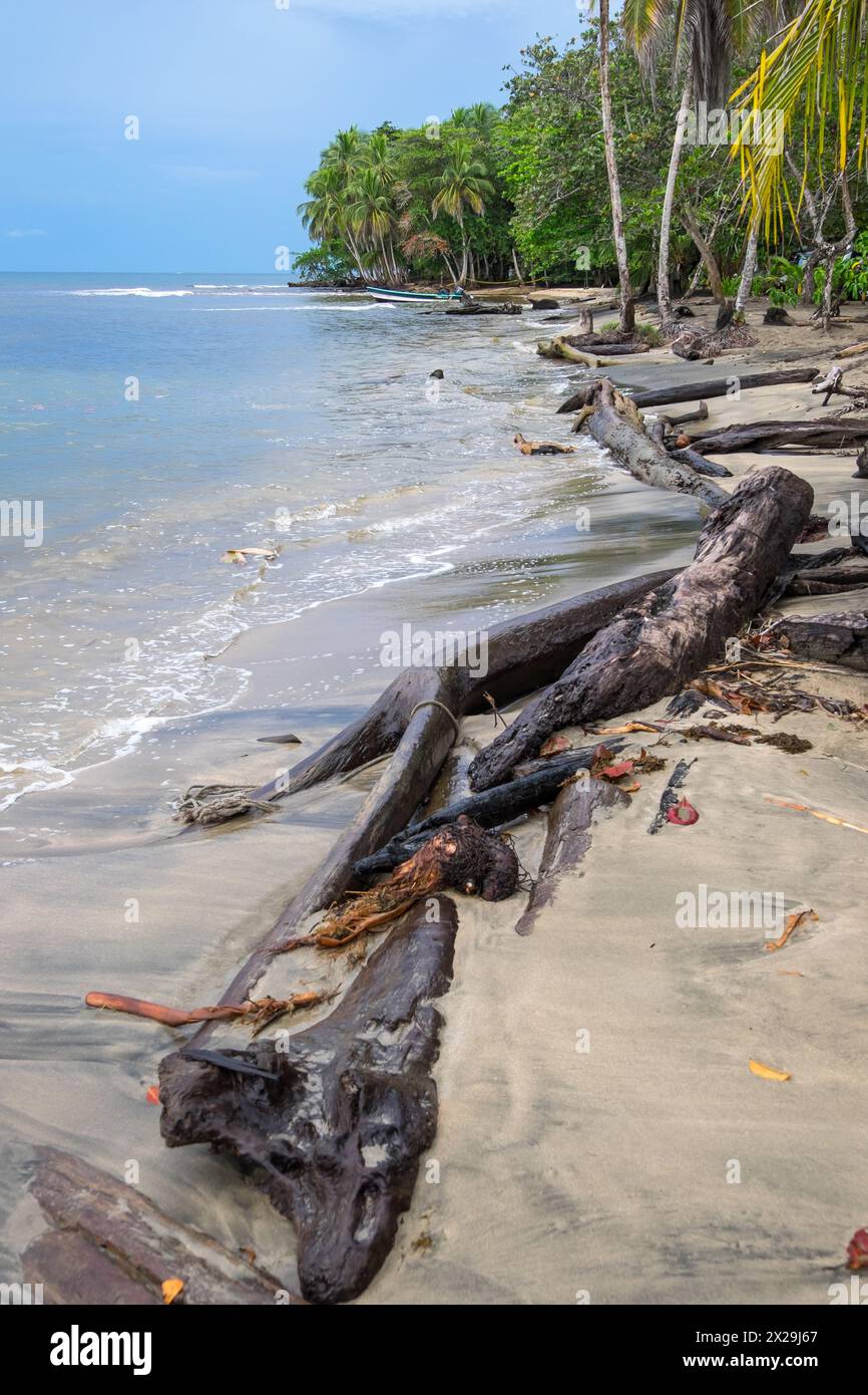 Costa di Manzanillo in Costa Rica Foto Stock