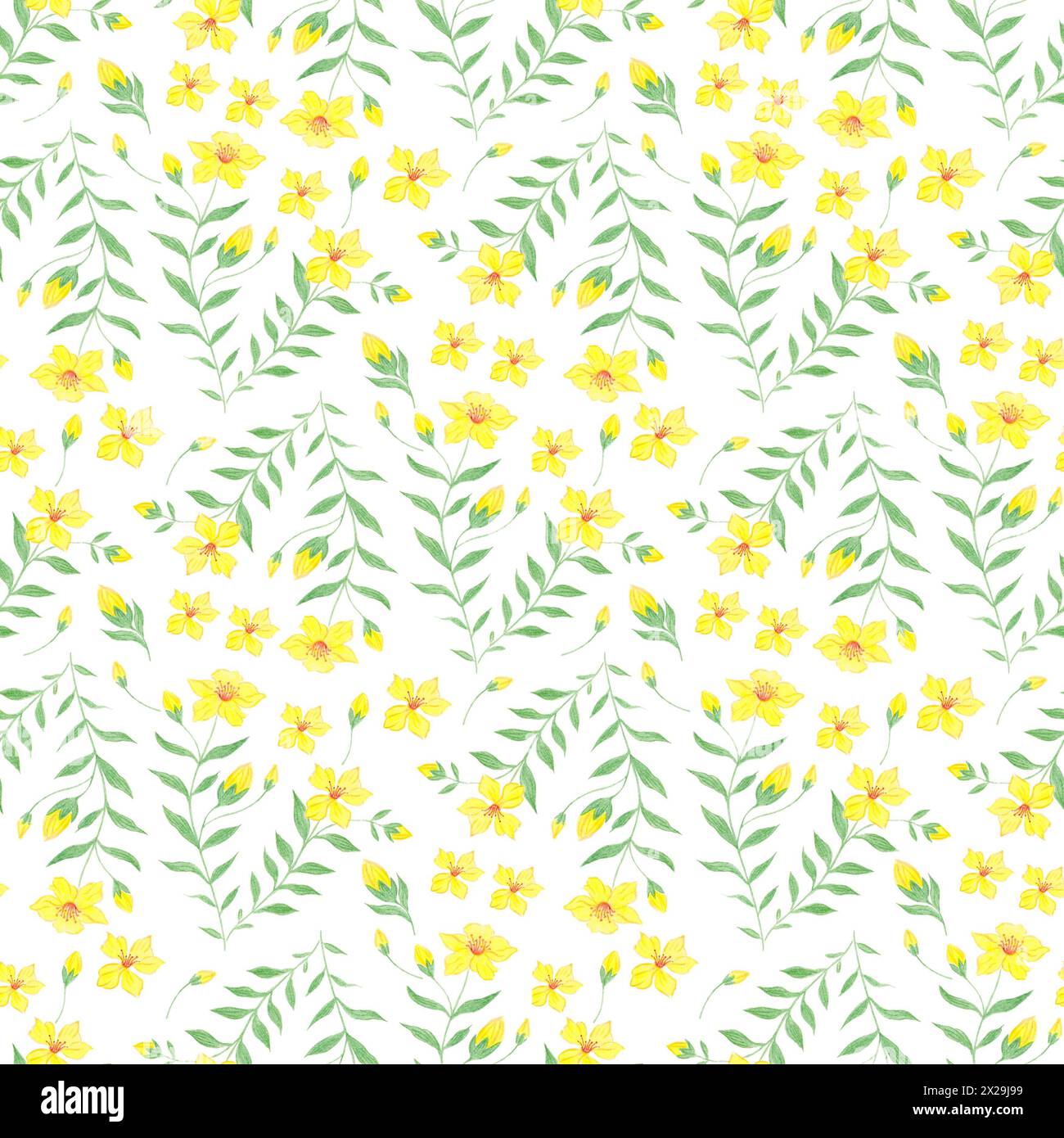 Illustrazione a motivi botanici senza cuciture con rami verdi e fiori gialli su sfondo bianco. Tema primavera ed estate. Foto Stock