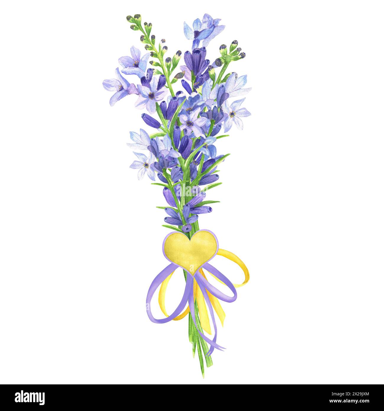 Illustrazione ad acquerello disegnata a mano. Bouquet primaverile di lavanda con nastro e arco e piccolo cuore. Regalo di San Valentino Foto Stock