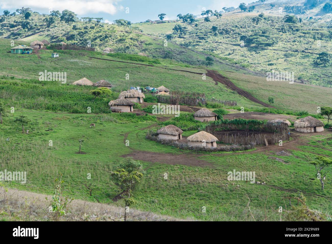 Villaggio di Massai nella Ngorogoro Conservation area, Tanzania Foto Stock