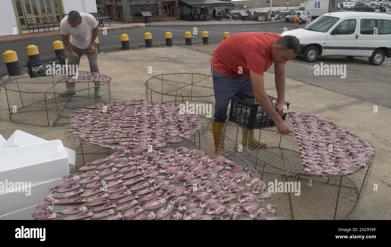 Un pescatore commerciale a Puerto del Carmen, lanzarote, ordina il suo pescato. Foto Stock