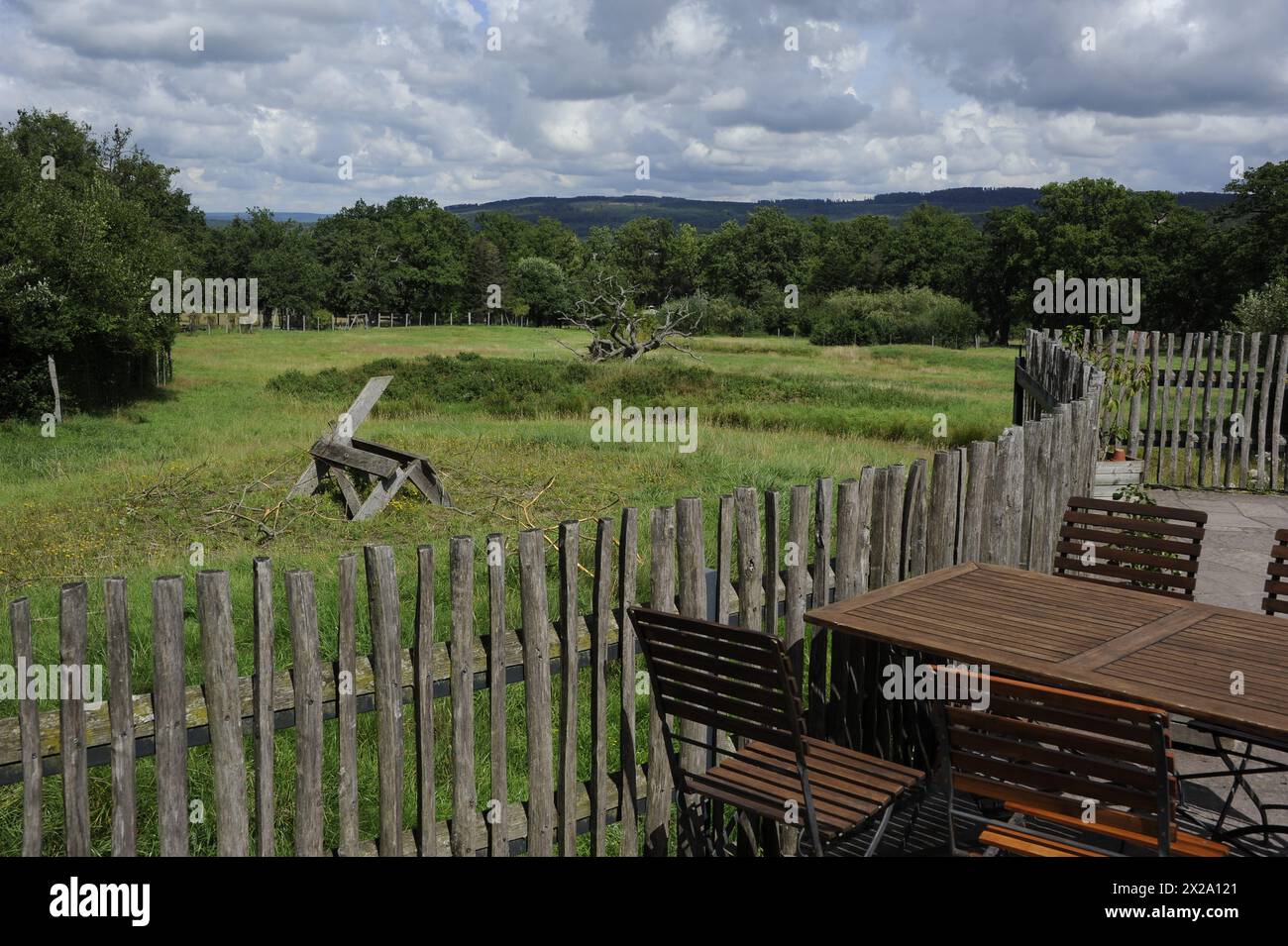 Tierpark Sababurg, aree verdi e relax Foto Stock