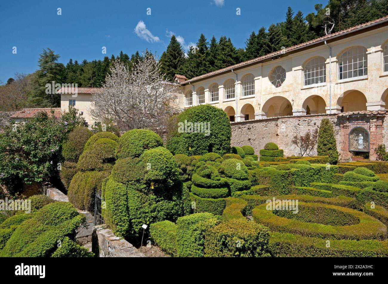 Giardino con siepi scatolate nella Certosa Trisulti (1204), Collepardo, Lazio, Italia Foto Stock