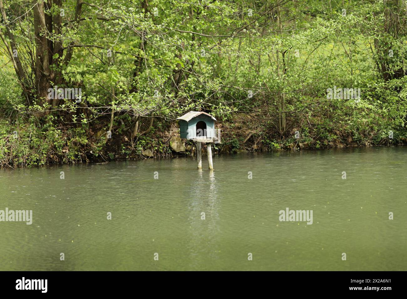 Casa di anatra su uno stagno di pescatori vicino a Großsachsenheim Foto Stock