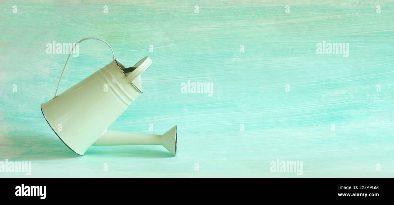 annaffiatoio su sfondo verde, giardinaggio, giardino, primavera e stagione. Foto Stock