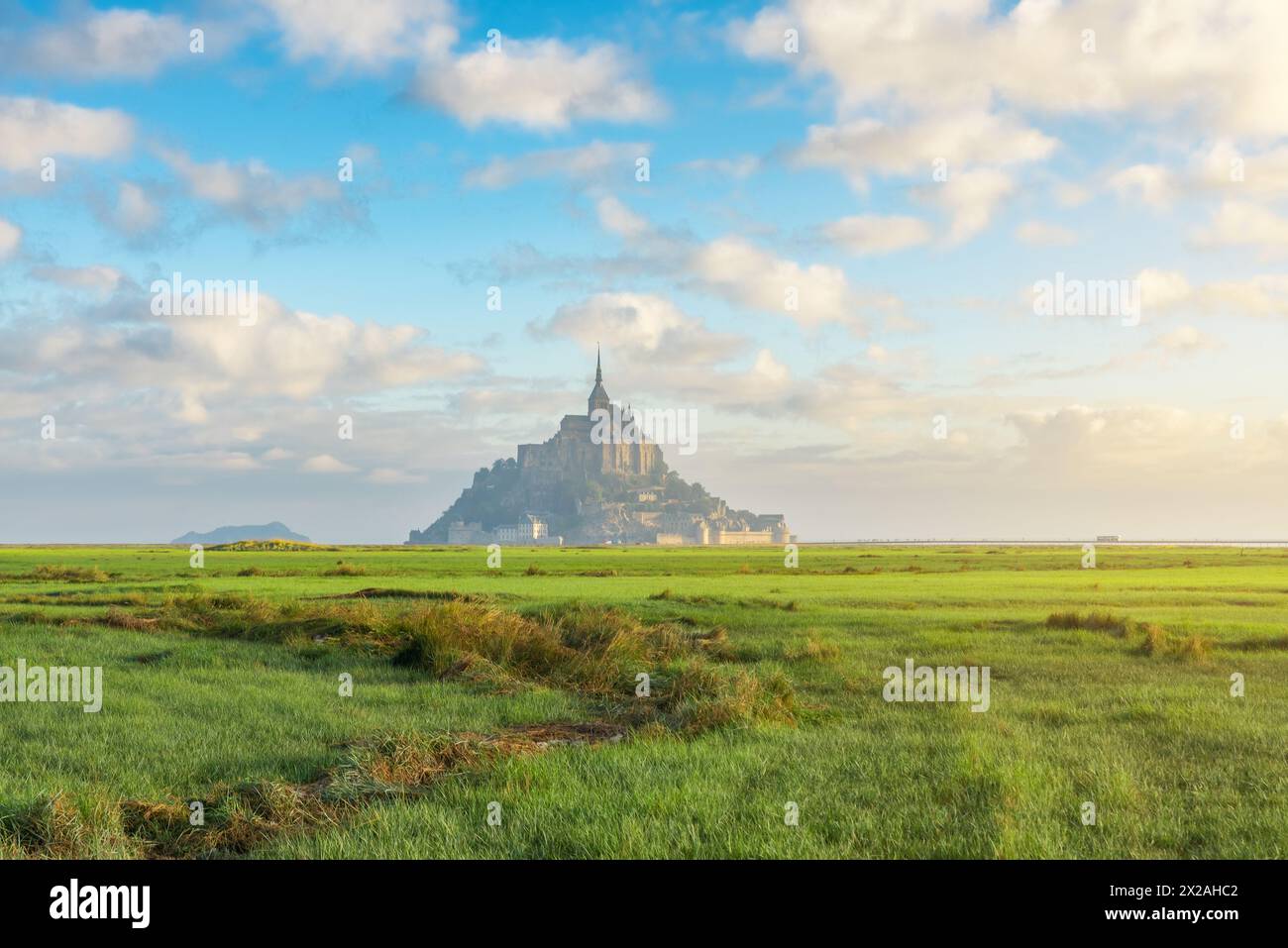 Abbazia di Mont Saint Michel sull'isola con prato verde all'alba, Normandia, Francia settentrionale, Europa. Isola di marea con cattedrale gotica medievale in Foto Stock