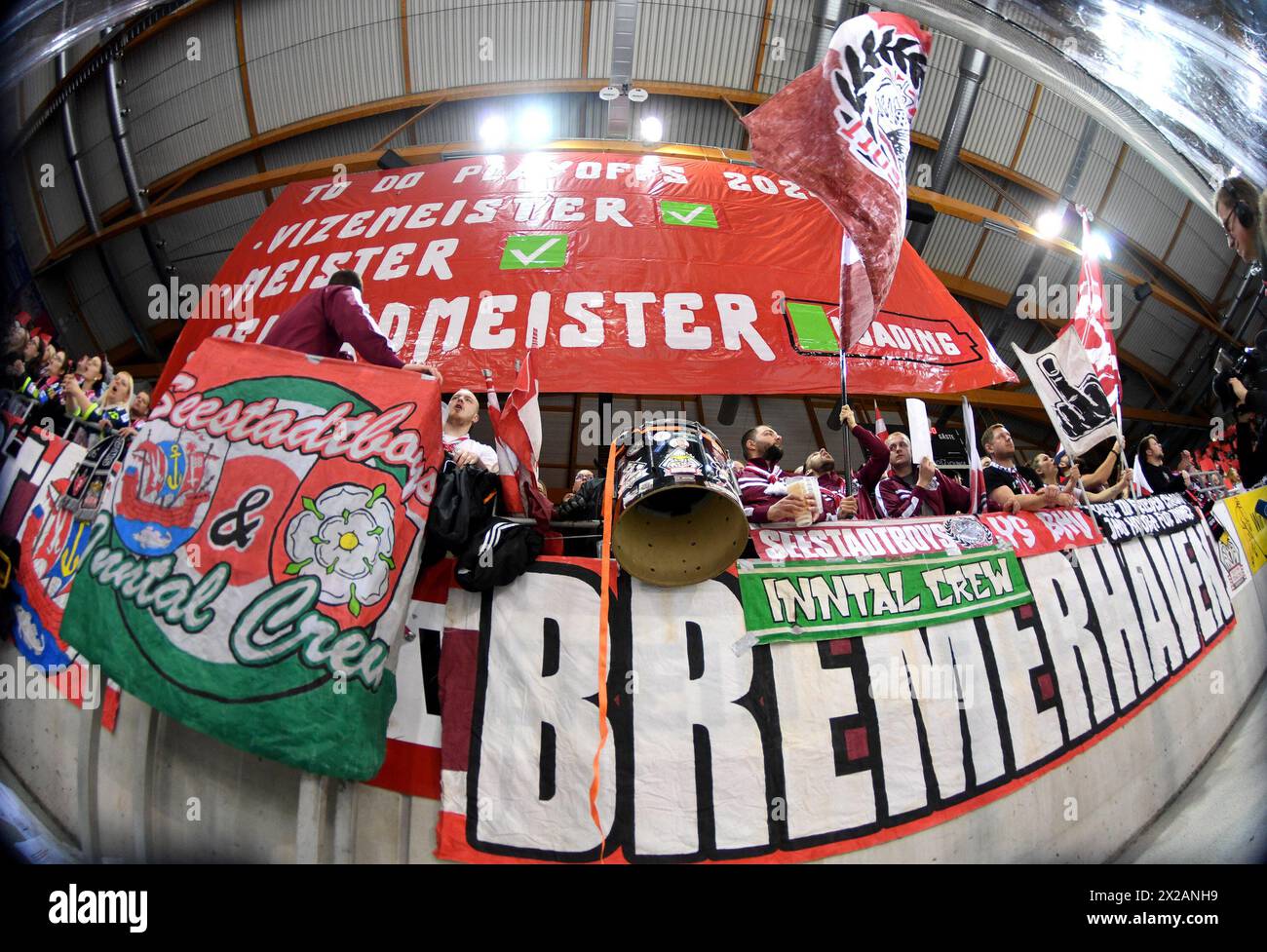 Bremerhaven, Germania. 21 aprile 2024. Hockey su ghiaccio, DEL, Fischtown Pinguins Bremerhaven - Eisbaeren Berlin, round del campionato, finale, giorno 3, Eisarena Bremerhaven, fan dei Fischtown Pinguins. Credito: Michael Schwartz/dpa/Alamy Live News Foto Stock