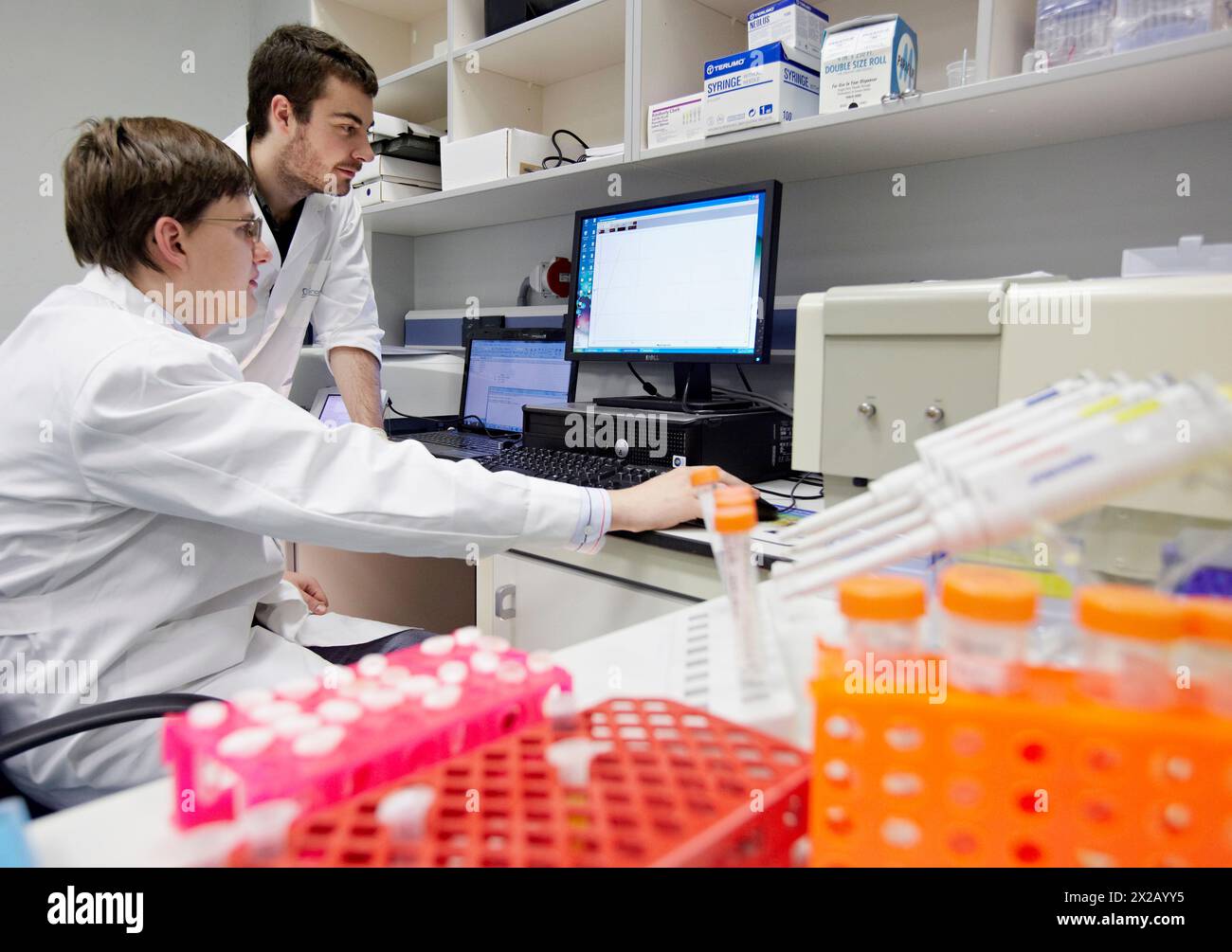 Discutere i dati del fluorimetro da un campione biologico, Characterization Laboratory, CIC nanoGUNE Nanoscience Cooperative Research Center, Donostia, GIP Foto Stock
