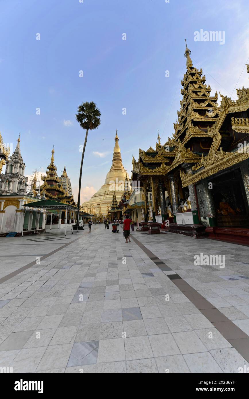 Shwedagon Pagoda, Yangon, Myanmar, Asia, Vista di una pagoda dorata sotto un cielo blu con una palma e gente in primo piano, Asia Foto Stock