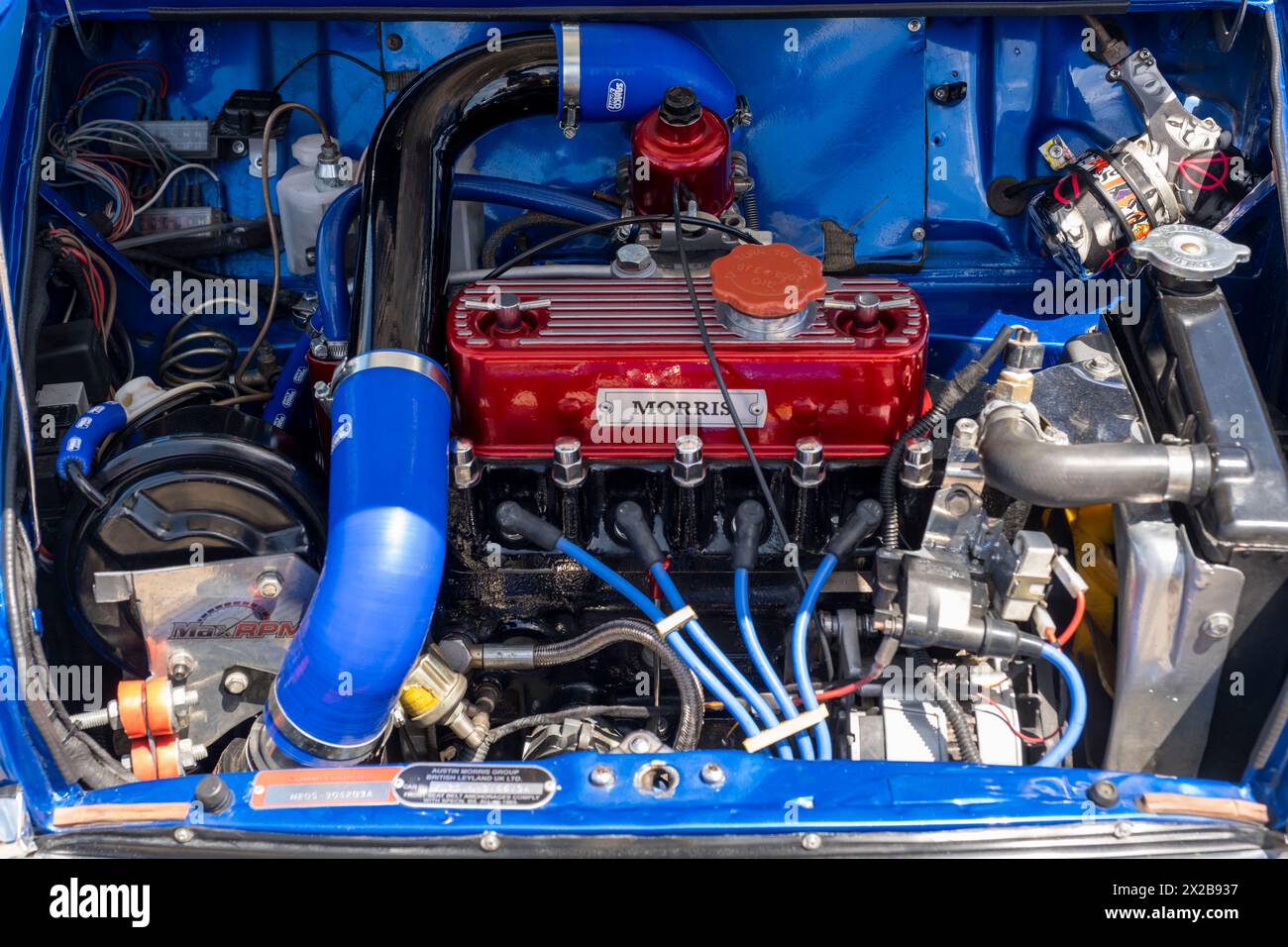 Morris Mini vano motore, Paphos Classic Vehicle Club Harbour Show, Paphos, Cipro Foto Stock