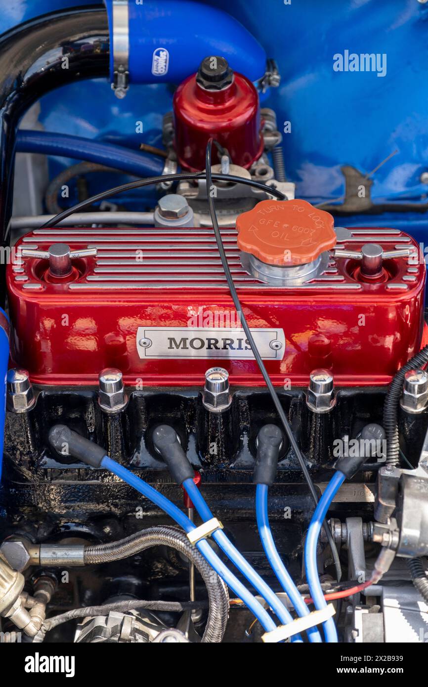 Morris Mini vano motore, Paphos Classic Vehicle Club Harbour Show, Paphos, Cipro Foto Stock