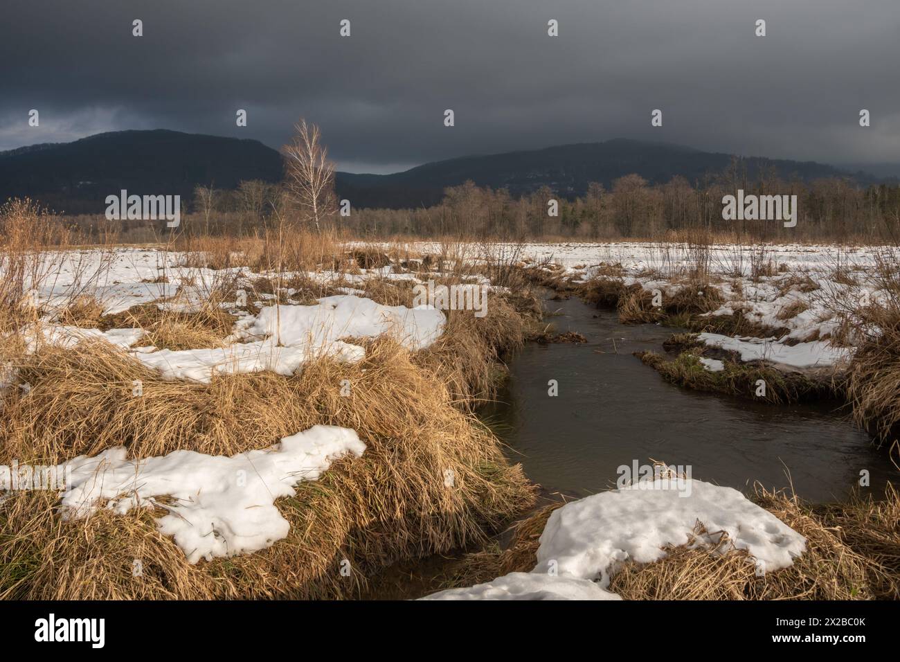Piscina di castoro nelle montagne Bieszczady. Polonia, Europa. Foto Stock