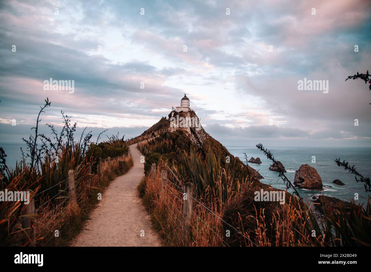 Faro di Nugget Point, al tramonto, nuova Zelanda Foto Stock