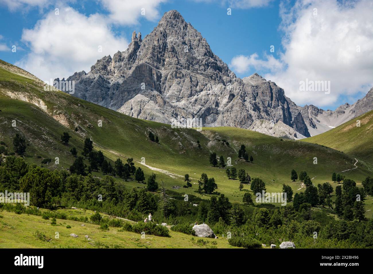 Landschaft auf der Alp Minger im schweizerischen Nationalpark Foto Stock