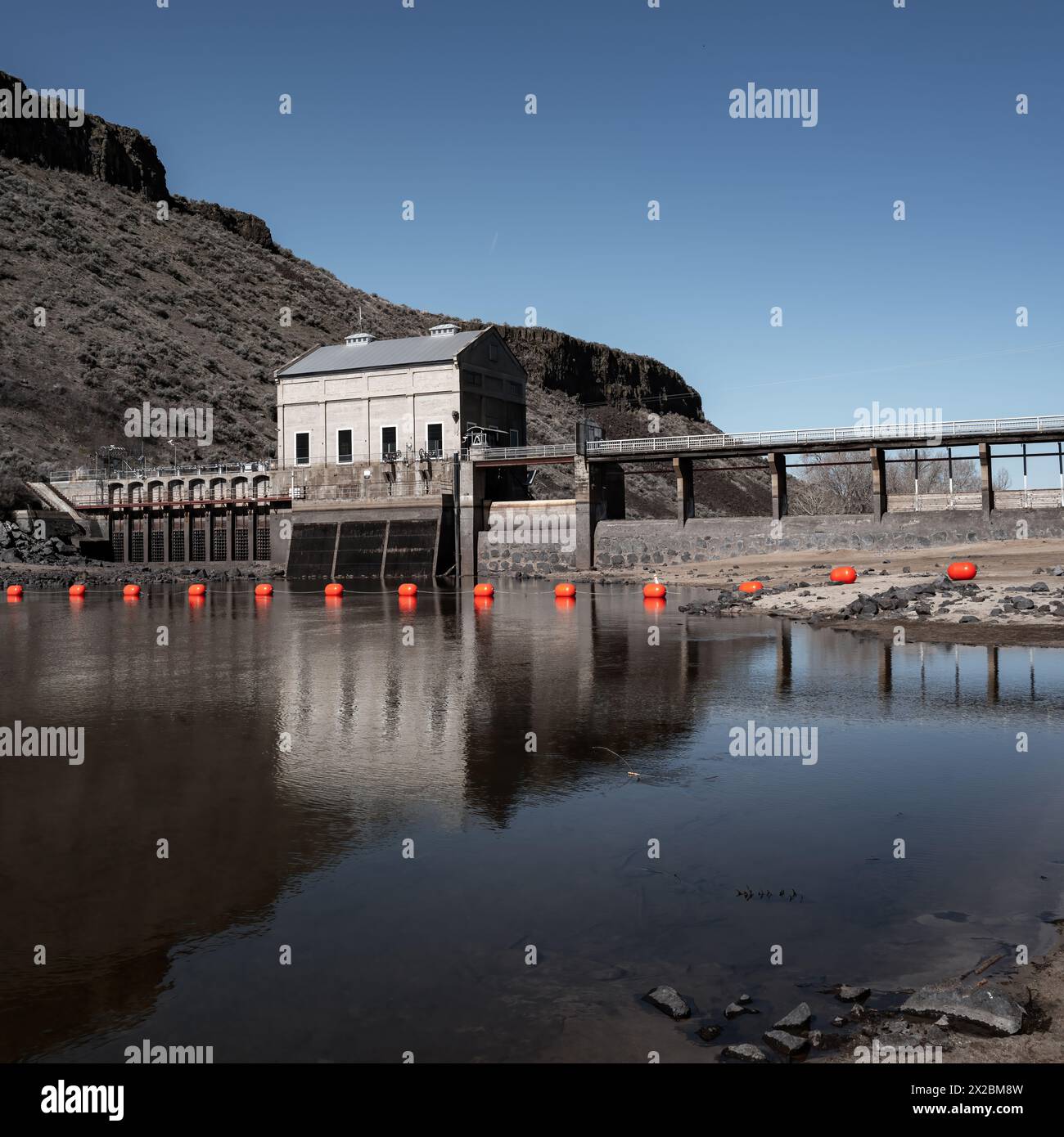 Boe d'acqua di colore arancione brillante sul fiume Boise Foto Stock