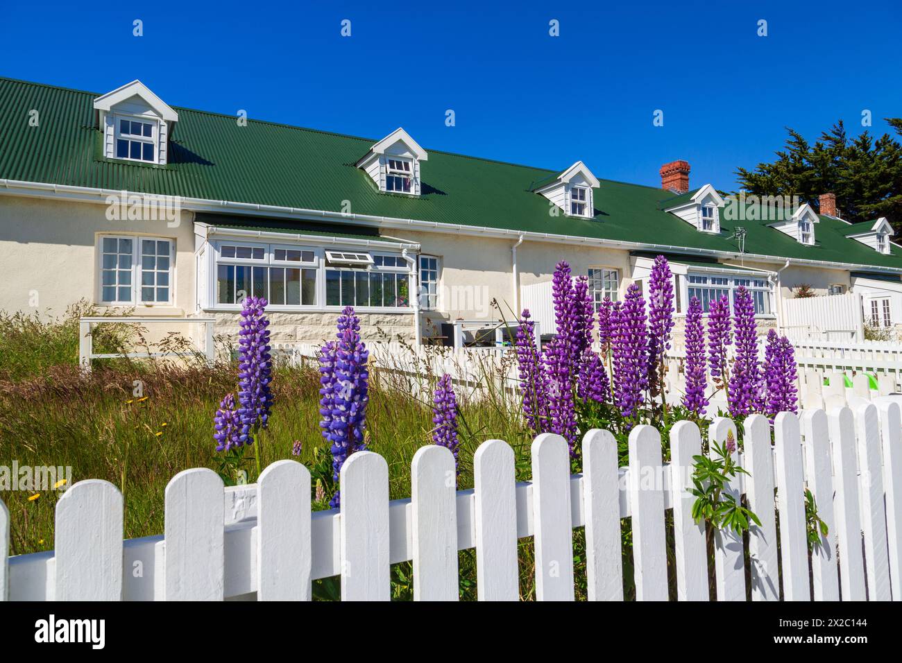 Marmont Row, Ross Road, Port Stanley, Isole Falkland, Regno Unito Foto Stock