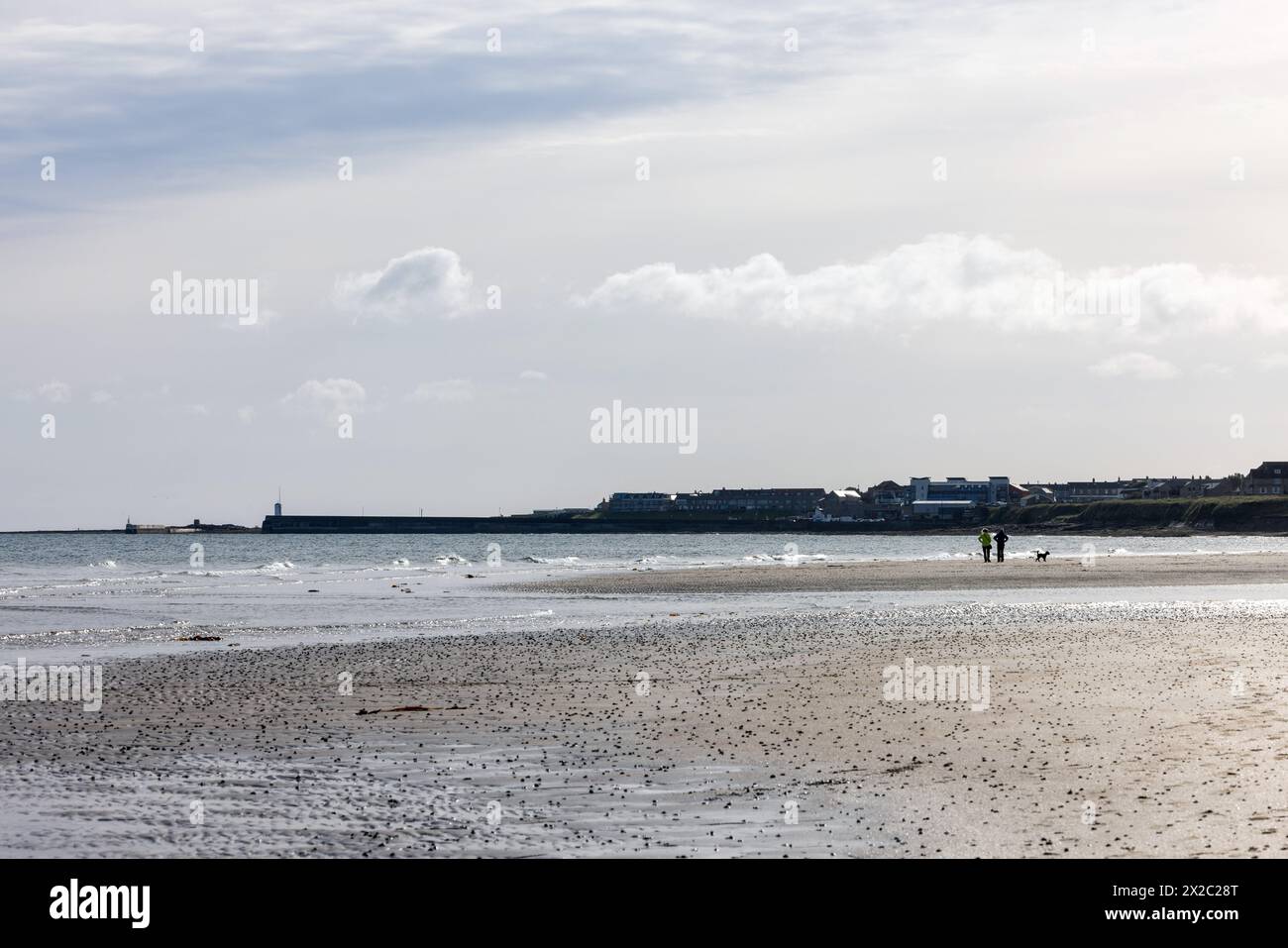 Passeggiate sulla spiaggia vicino alle Seahouse nel Northumberland Foto Stock