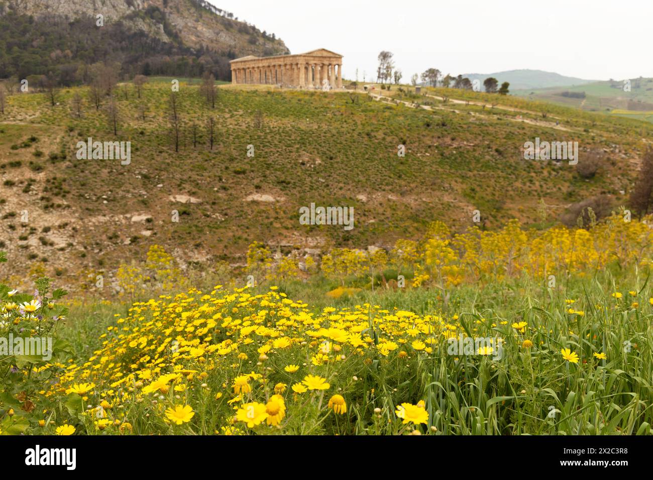 Vista del tempio di Segesta in Sicilia Foto Stock