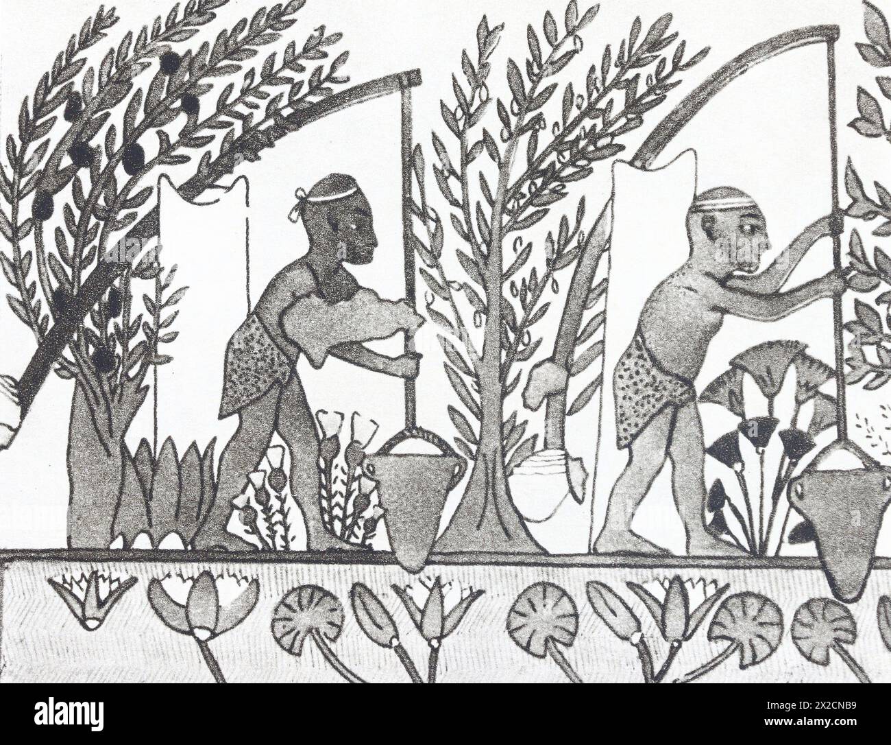 Pittura di una tomba a Tebe raffigurante gli schiavi che innaffiano giardini usando shadufs. Pittura della seconda metà del II millennio a.C. Foto della metà del XX secolo. Foto Stock