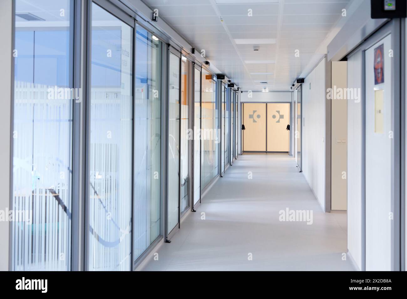 Hall, sala parto, reparto di maternità, Ospedale Donostia, San Sebastian, Gipuzkoa, Paesi Baschi Foto Stock