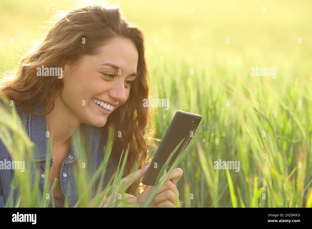 Donna felice in un campo che usa il cellulare e ride Foto Stock