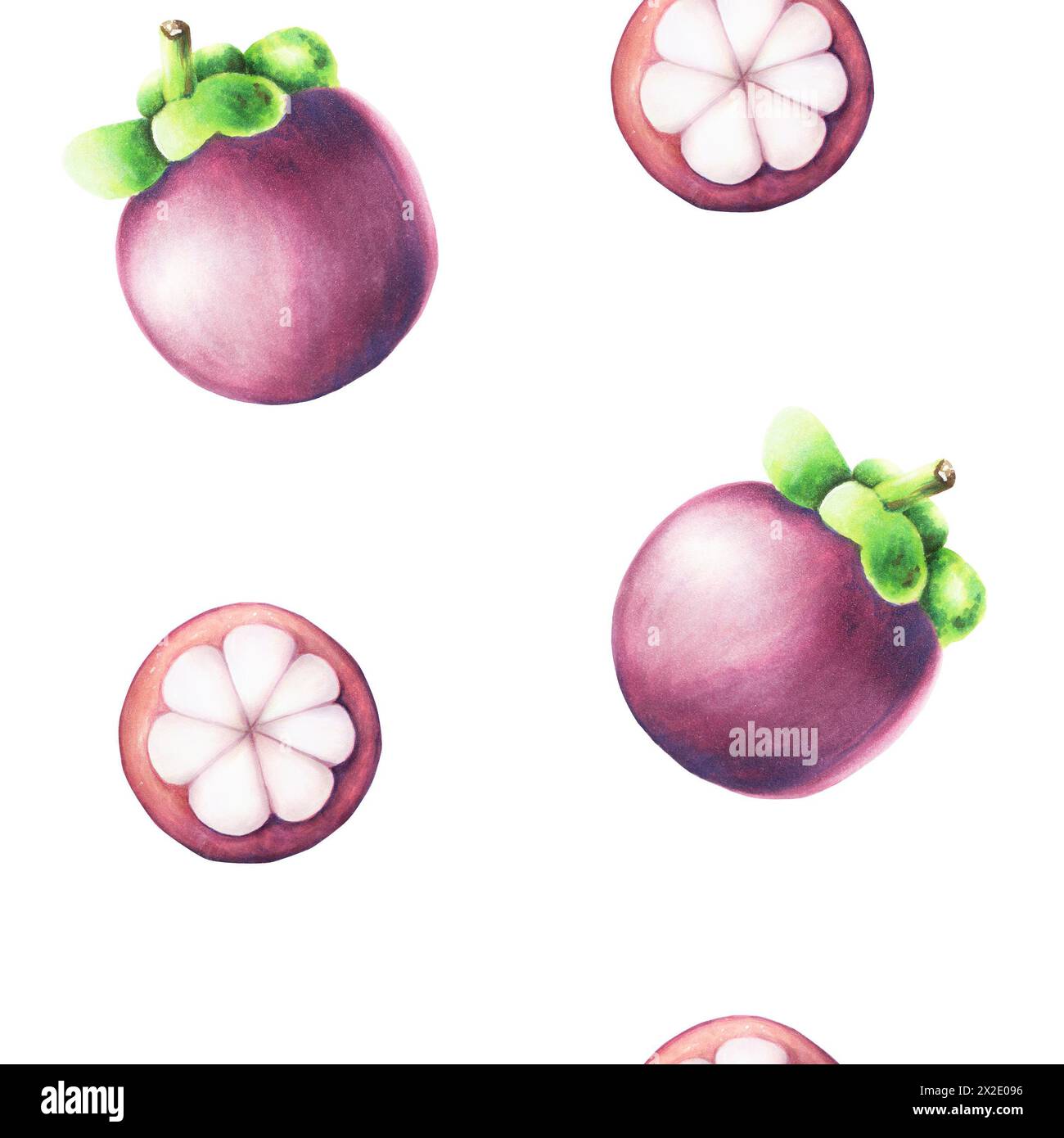 Motivo senza cuciture mangostano viola. Illustrazione di frutta ad acquerello tropicale isolata sullo sfondo. Per designer, decorazione spa, cartoline, matrimoni, Foto Stock