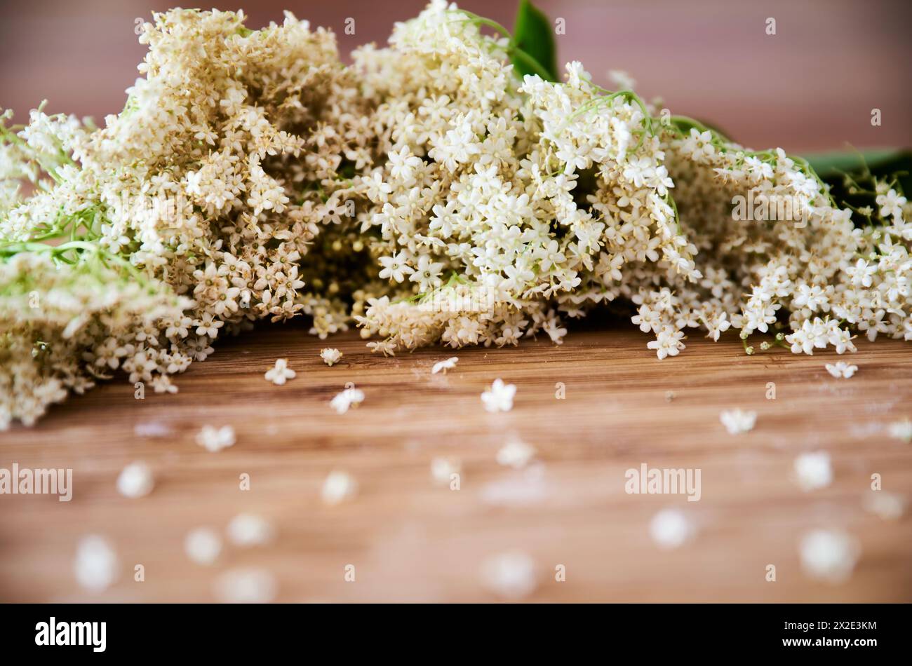 Primo piano di fiori di sambuco bianchi su sfondo rustico in legno. I fiori di sambuco crescono sulla pianta di sambuco ed è ricco di vitamine. Supercibo scandinavo naturale Foto Stock