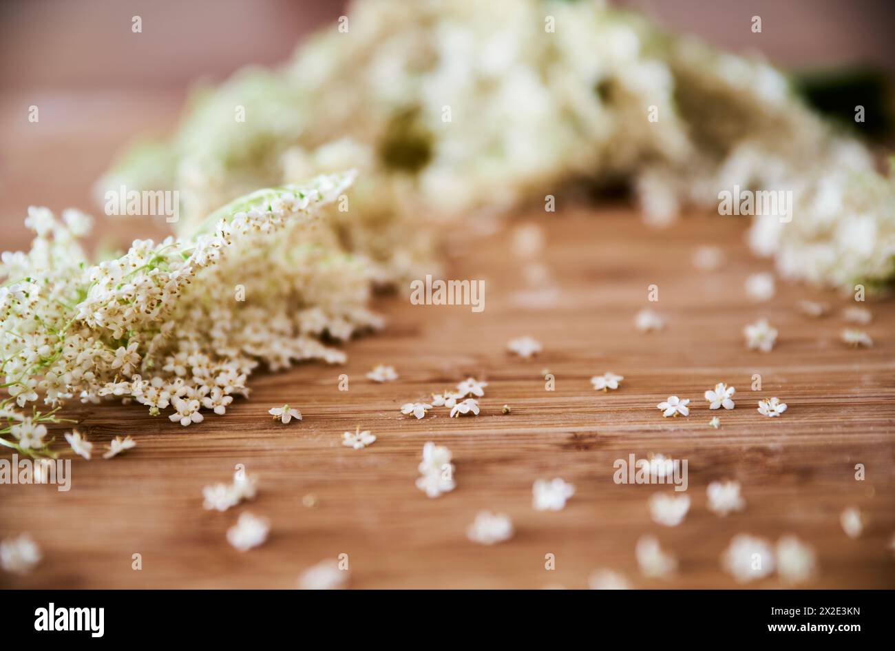 Primo piano dei fiori di sambuco bianchi su uno sfondo rustico in legno. I fiori di sambuco crescono sulla pianta di sambuco ed è ricco di vitamine. Cibo scandinavo estivo Foto Stock