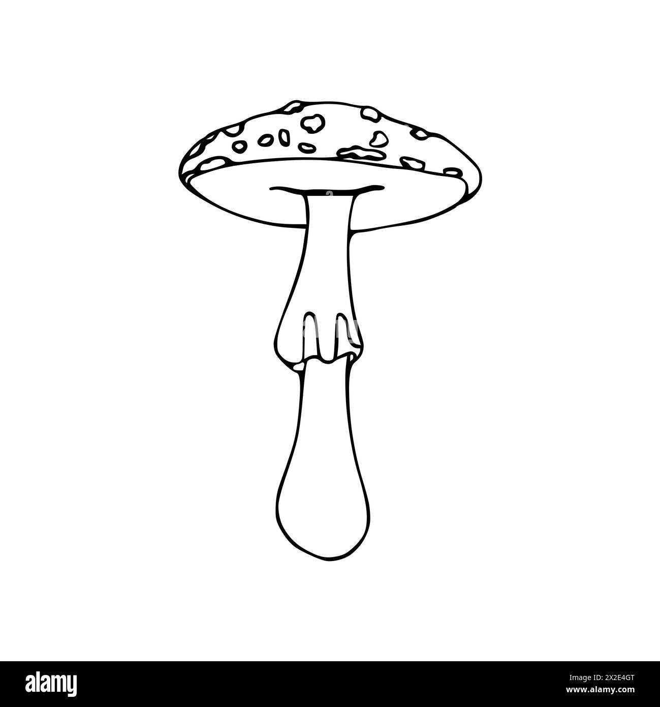 Illustrazione di funghi velenosi, toadstool, agarico mosca. Doodle. Disegnato a mano. Vettore isolato su sfondo bianco. Foto Stock