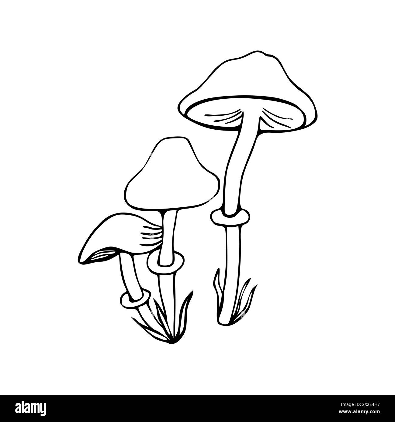 Illustrazione della famiglia dei funghi. Fungo velenoso, toadstool. Doodle. Disegnato a mano. Vettore isolato su sfondo bianco. Foto Stock