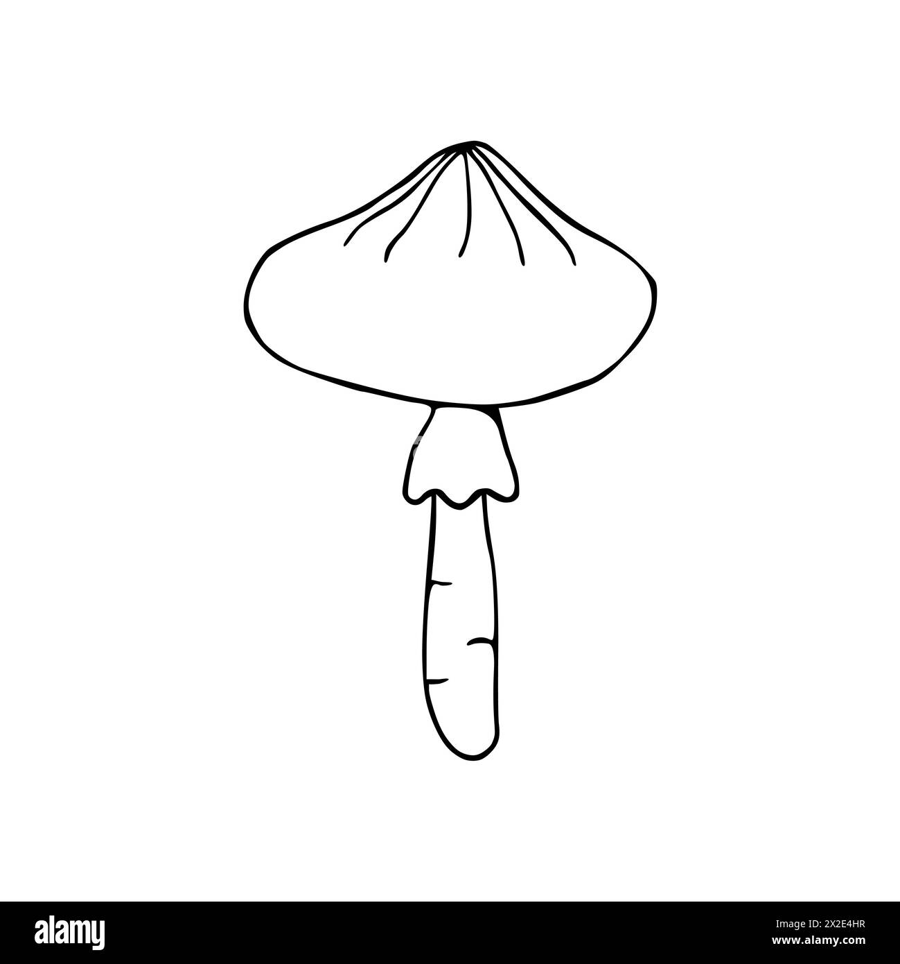 Illustrazione di funghi velenosi, toadstool, agarico mosca. Doodle. Disegnato a mano. Vettore isolato su sfondo bianco. Foto Stock
