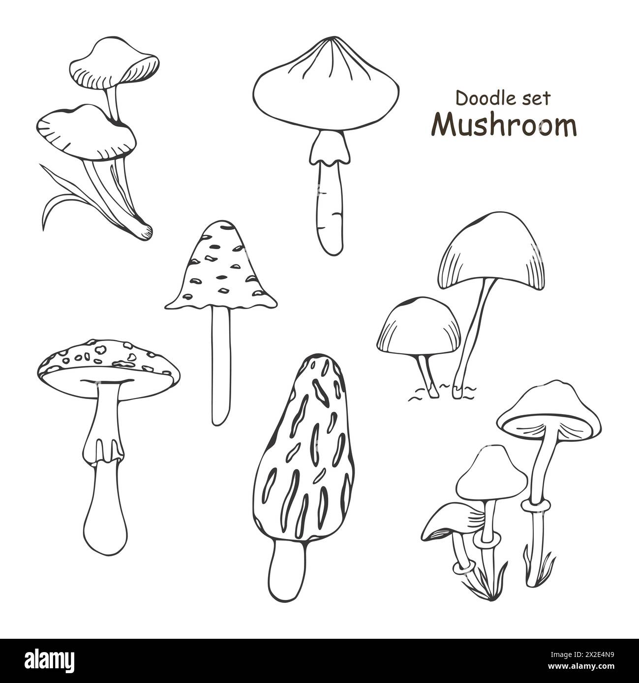 Set di funghi velenosi. Doodle. Illustrazione vettoriale isolata su sfondo bianco. Morel, mosca agarico, toadstool. Diversi tipi nello stile di l Foto Stock