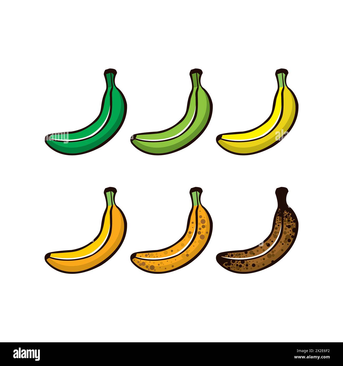 Set di banane vettoriali, colori diversi. Fasi di maturazione delle banane, da quelle non mature a quelle troppo mature. Frutta per tutti i gusti Illustrazione Vettoriale